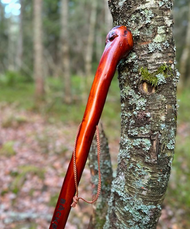 Håndlaget vandrestav i kastanje